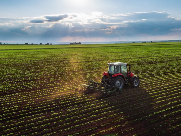 Agriculture
